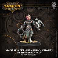 mage hunter assassin (variant) retribution solo